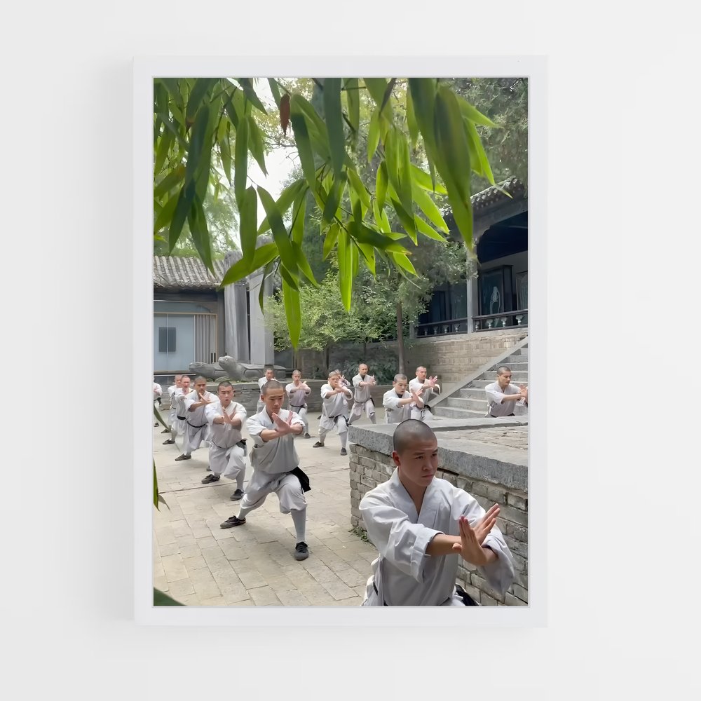 Poster Maîtres du Kung-Fu – affiche Kung Fu (vue 3)